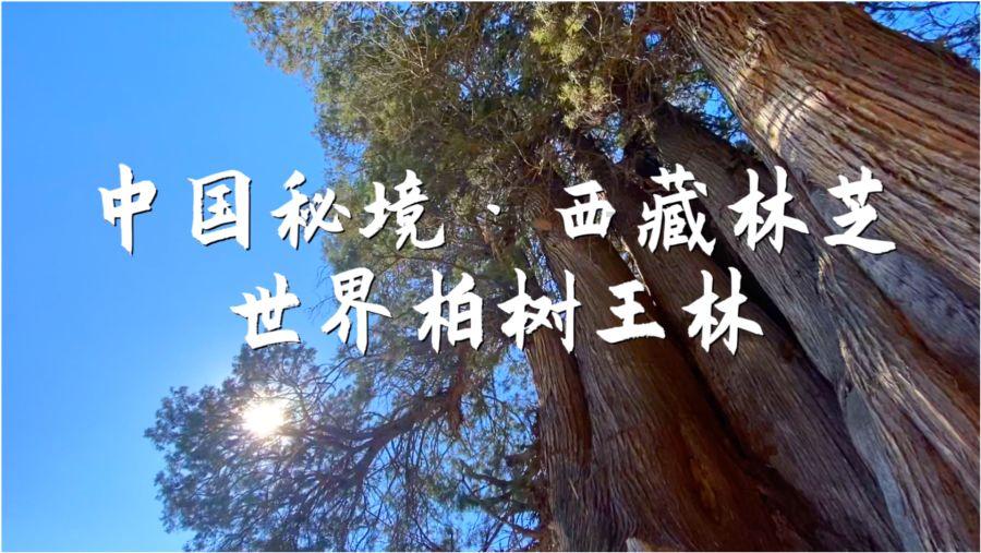 美图秀秀下载2023最新版