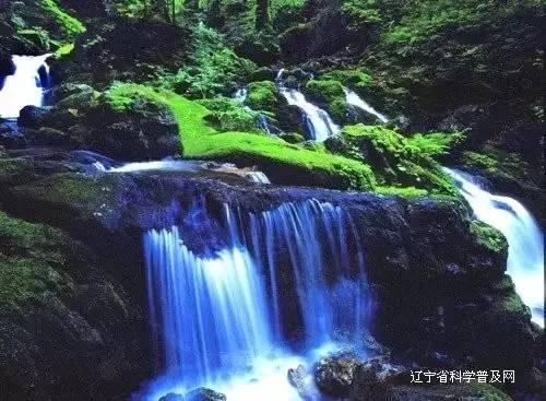 为什么我那么努力，单位评先却没有我？